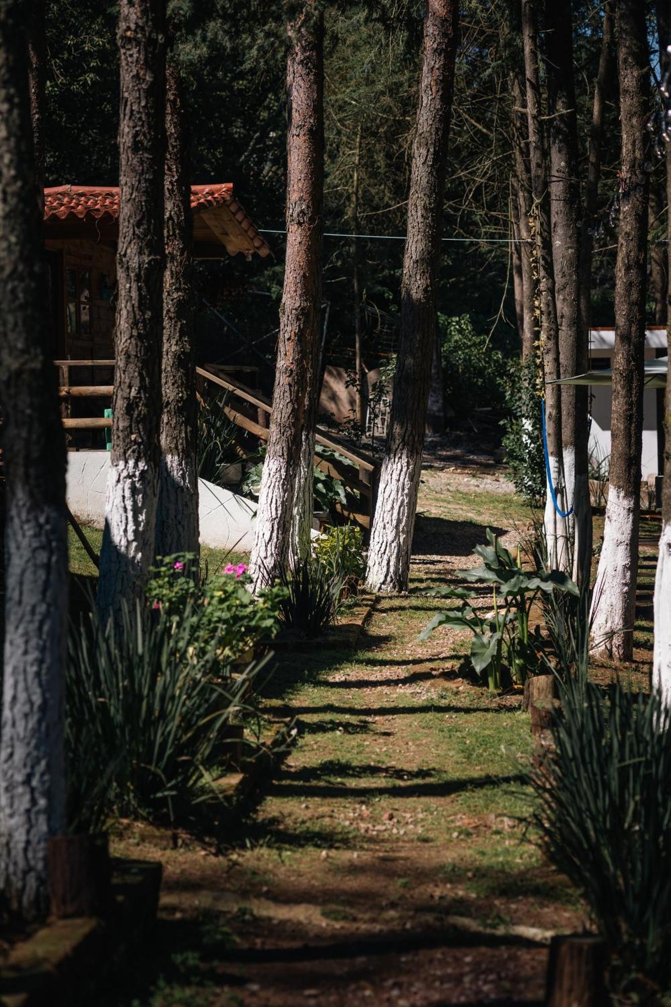 El Descanso Casa-Hotel Zacatlan. Dış mekan fotoğraf